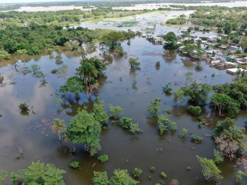 Magic Market to Collect Donations for Flood Victims of Tabasco and Chiapas