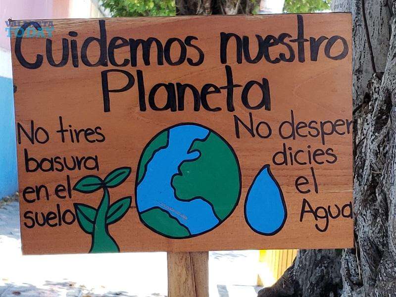 Children And Environmental Care