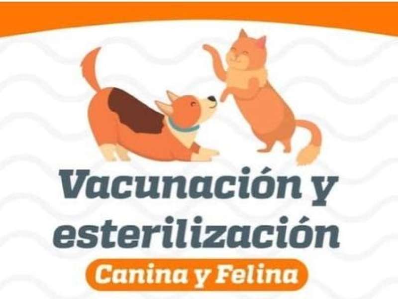 Free Vaccination and Sterilization Tomorrow in Colonia Lopez Mateos