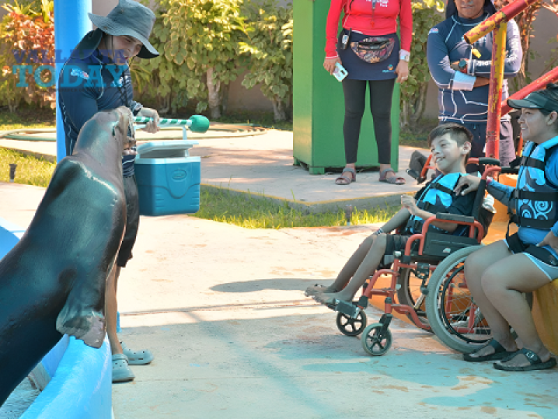 Vallarta Adventures Gifts A Beautiful Experience To Children With Disabilities