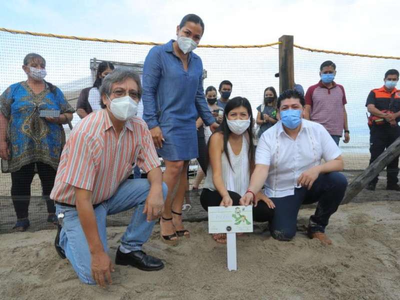 Sea Turtle Nesting Season Kicks Off