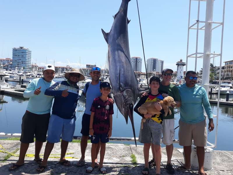They Managed to Catch a Large Marlin Fish
