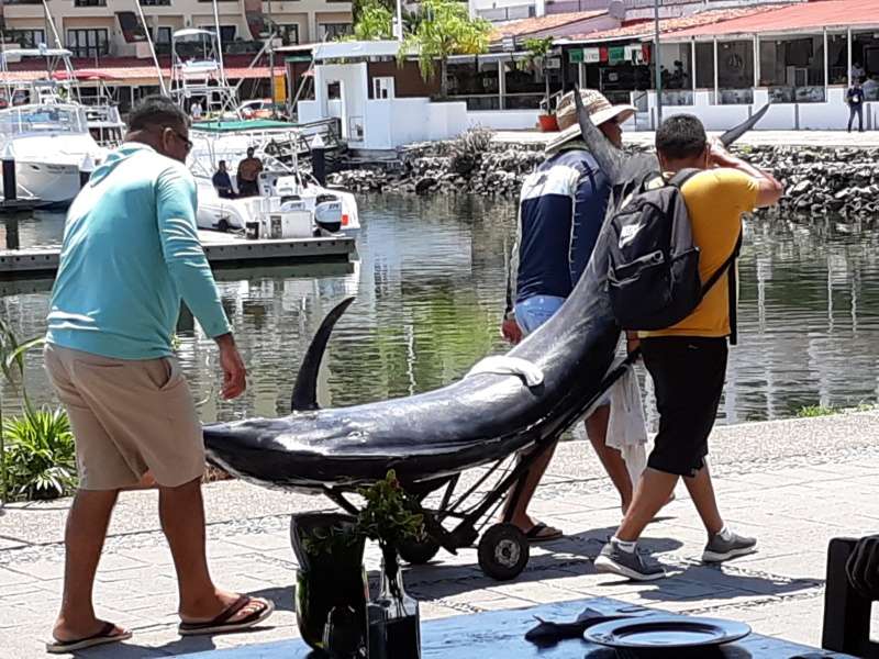 Fishing Tournament Coming Soon