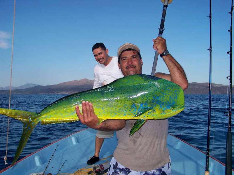 14th Fishing Tournament At Los Muertos Beach 114 Boats Competed