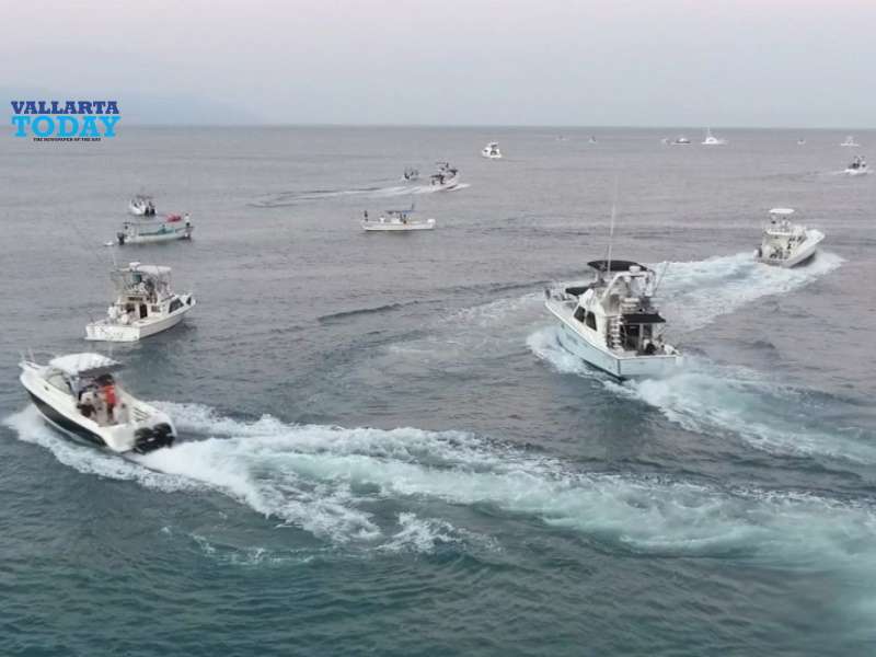 Marlin And Sailfish Fishing Tournament Starts In Vallarta