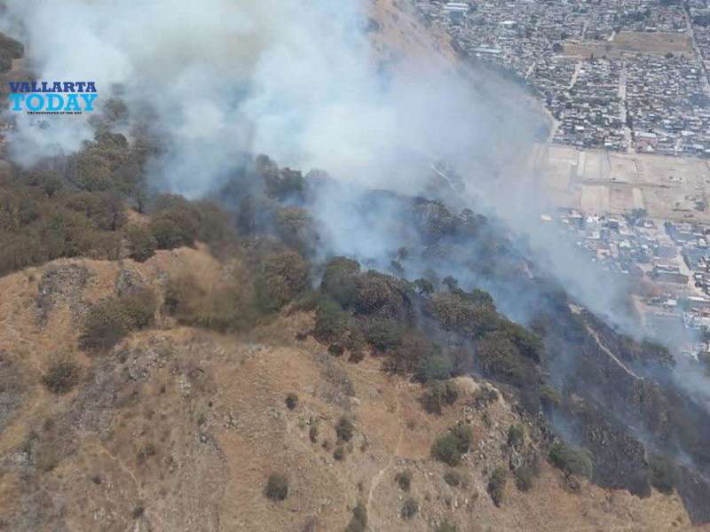Incendio en Coli fue causado por un incendio provocado