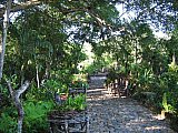 Krystal International Vacation Club Shares a Summer Trip to the Puerto Vallarta Botanical Gardens