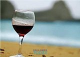 Puerto Vallarta and Riviera Nayarit will Celebrate their Seventh Wine Festival