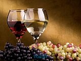 Puerto Vallarta and Riviera Nayarit will Celebrate their Seventh Wine Festival