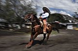Mexico celebrates the animal at the heart of its cowboy tradition, the 'charrer&iacute;a' horse