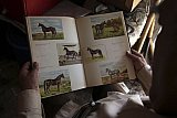 Mexico celebrates the animal at the heart of its cowboy tradition, the 'charrer&iacute;a' horse