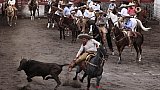 Mexico Charro Horses Photo Gallery - Mexico celebrates the animal at the heart of its cowboy tradition, the 'charrer&iacute;a' horse