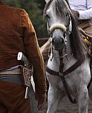 Mexico celebrates the animal at the heart of its cowboy tradition, the 'charrer&iacute;a' horse