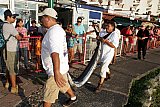 Puerto Vallarta Fishing Tournament Finished - Opequimar Was The Winner