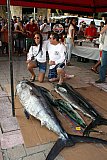 Puerto Vallarta Fishing Tournament Finished - Opequimar Was The Winner