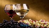 Puerto Vallarta and Riviera Nayarit will Celebrate their Seventh Wine Festival