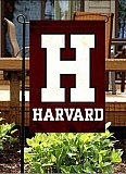 Harvard in Mexico City
