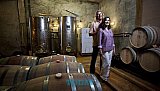 Puerto Vallarta and Riviera Nayarit will Celebrate their Seventh Wine Festival