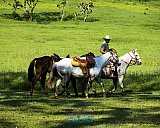 Scenes From the Beaches in Puerto Vallarta