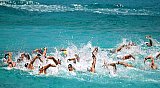 4th tournament of Openwater Riviera Nayarit