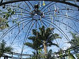 Krystal International Vacation Club Shares a Summer Trip to the Puerto Vallarta Botanical Gardens