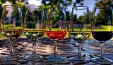 Puerto Vallarta and Riviera Nayarit will Celebrate their Seventh Wine Festival