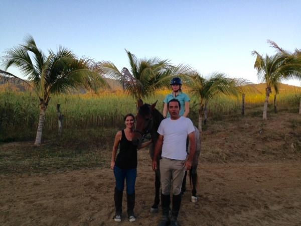 Horse3