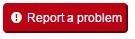 REPORT
