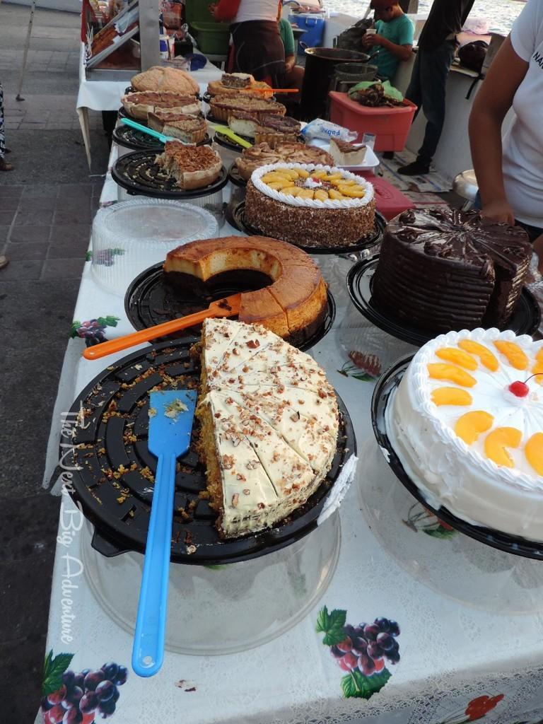 DSCN4893 e1467488240781 768x1024