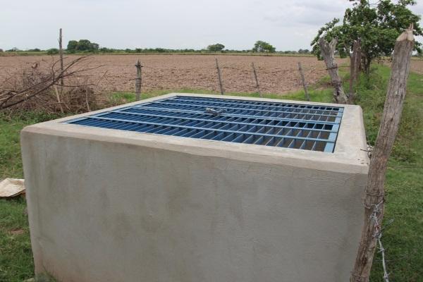 IMG 0723