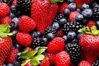 jalisco-fresh-berries