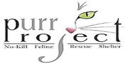 purrprojectfront