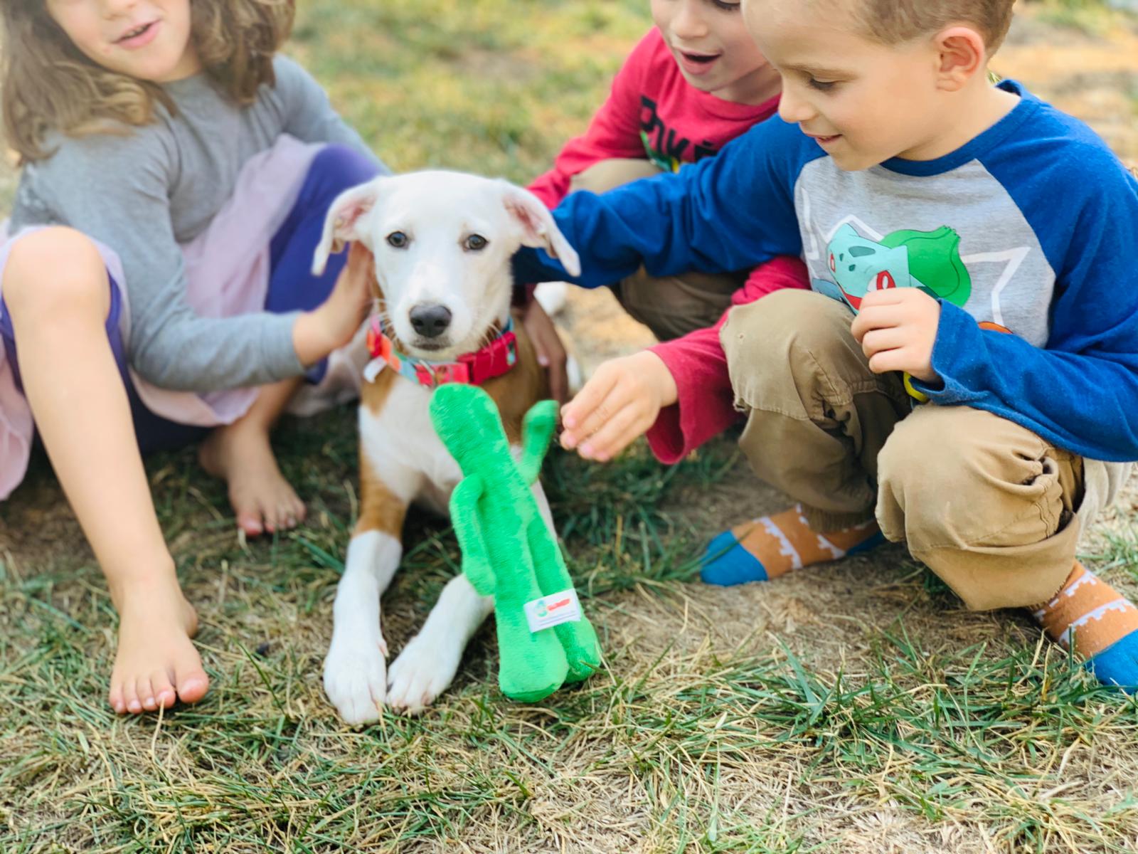 20200830 013426000 iOS