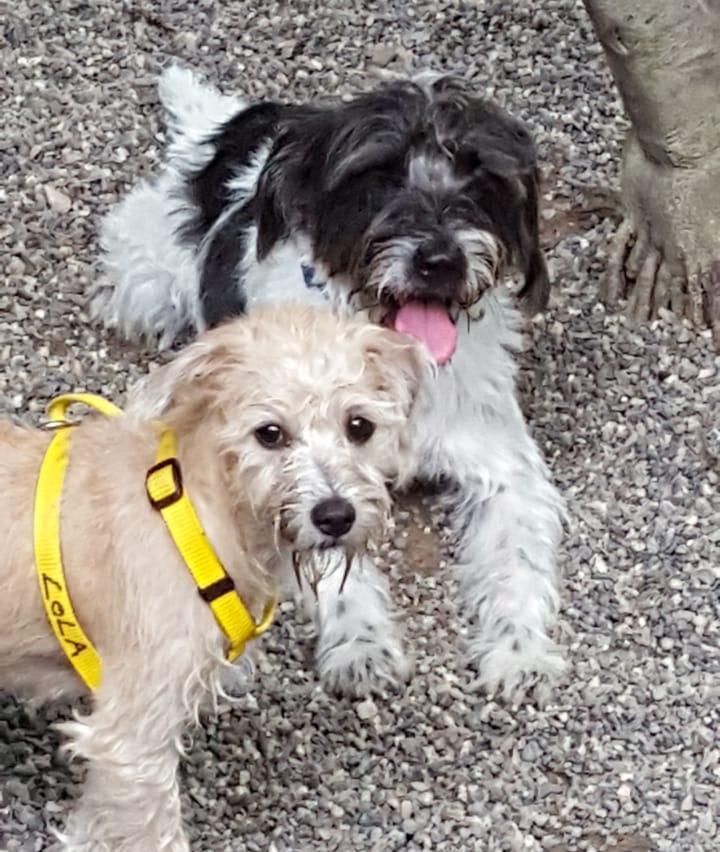 20200830 153227000 iOS