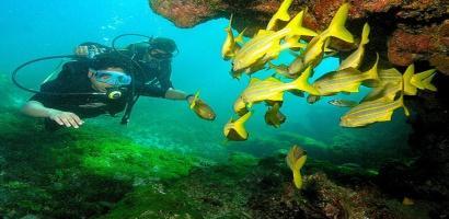 buceo-3