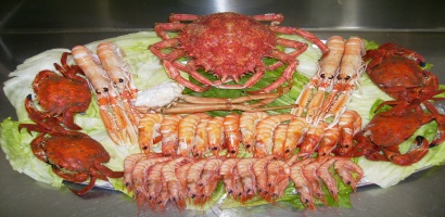mariscos2