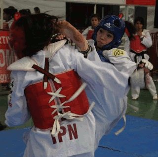 martial-arts