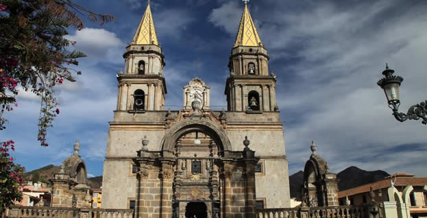traditional talpa allende