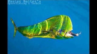 07 19 2020 Video Slide Show Eye Candy 001